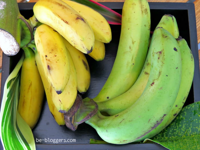 самые вкусные фрукты в мире рейтинг. Смотреть фото самые вкусные фрукты в мире рейтинг. Смотреть картинку самые вкусные фрукты в мире рейтинг. Картинка про самые вкусные фрукты в мире рейтинг. Фото самые вкусные фрукты в мире рейтинг самые вкусные фрукты в мире рейтинг. Смотреть фото самые вкусные фрукты в мире рейтинг. Смотреть картинку самые вкусные фрукты в мире рейтинг. Картинка про самые вкусные фрукты в мире рейтинг. Фото самые вкусные фрукты в мире рейтинг