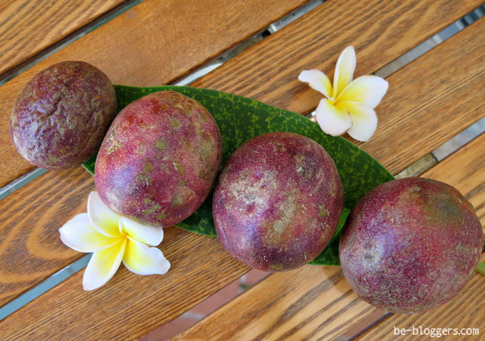 самые вкусные фрукты в мире рейтинг. Смотреть фото самые вкусные фрукты в мире рейтинг. Смотреть картинку самые вкусные фрукты в мире рейтинг. Картинка про самые вкусные фрукты в мире рейтинг. Фото самые вкусные фрукты в мире рейтинг самые вкусные фрукты в мире рейтинг. Смотреть фото самые вкусные фрукты в мире рейтинг. Смотреть картинку самые вкусные фрукты в мире рейтинг. Картинка про самые вкусные фрукты в мире рейтинг. Фото самые вкусные фрукты в мире рейтинг