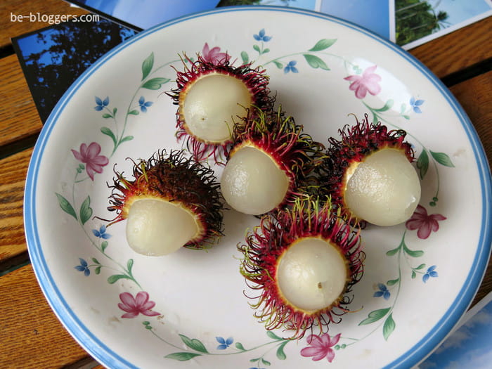 самые вкусные фрукты в мире рейтинг. Смотреть фото самые вкусные фрукты в мире рейтинг. Смотреть картинку самые вкусные фрукты в мире рейтинг. Картинка про самые вкусные фрукты в мире рейтинг. Фото самые вкусные фрукты в мире рейтинг самые вкусные фрукты в мире рейтинг. Смотреть фото самые вкусные фрукты в мире рейтинг. Смотреть картинку самые вкусные фрукты в мире рейтинг. Картинка про самые вкусные фрукты в мире рейтинг. Фото самые вкусные фрукты в мире рейтинг