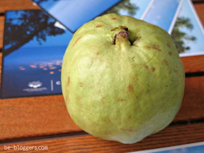 самые вкусные фрукты в мире рейтинг. Смотреть фото самые вкусные фрукты в мире рейтинг. Смотреть картинку самые вкусные фрукты в мире рейтинг. Картинка про самые вкусные фрукты в мире рейтинг. Фото самые вкусные фрукты в мире рейтинг самые вкусные фрукты в мире рейтинг. Смотреть фото самые вкусные фрукты в мире рейтинг. Смотреть картинку самые вкусные фрукты в мире рейтинг. Картинка про самые вкусные фрукты в мире рейтинг. Фото самые вкусные фрукты в мире рейтинг