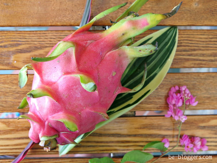 самые вкусные фрукты в мире рейтинг. Смотреть фото самые вкусные фрукты в мире рейтинг. Смотреть картинку самые вкусные фрукты в мире рейтинг. Картинка про самые вкусные фрукты в мире рейтинг. Фото самые вкусные фрукты в мире рейтинг самые вкусные фрукты в мире рейтинг. Смотреть фото самые вкусные фрукты в мире рейтинг. Смотреть картинку самые вкусные фрукты в мире рейтинг. Картинка про самые вкусные фрукты в мире рейтинг. Фото самые вкусные фрукты в мире рейтинг