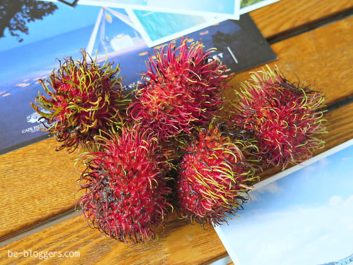 самые вкусные фрукты в мире рейтинг. Смотреть фото самые вкусные фрукты в мире рейтинг. Смотреть картинку самые вкусные фрукты в мире рейтинг. Картинка про самые вкусные фрукты в мире рейтинг. Фото самые вкусные фрукты в мире рейтинг самые вкусные фрукты в мире рейтинг. Смотреть фото самые вкусные фрукты в мире рейтинг. Смотреть картинку самые вкусные фрукты в мире рейтинг. Картинка про самые вкусные фрукты в мире рейтинг. Фото самые вкусные фрукты в мире рейтинг