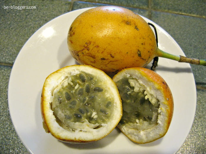 самые вкусные фрукты в мире рейтинг. Смотреть фото самые вкусные фрукты в мире рейтинг. Смотреть картинку самые вкусные фрукты в мире рейтинг. Картинка про самые вкусные фрукты в мире рейтинг. Фото самые вкусные фрукты в мире рейтинг самые вкусные фрукты в мире рейтинг. Смотреть фото самые вкусные фрукты в мире рейтинг. Смотреть картинку самые вкусные фрукты в мире рейтинг. Картинка про самые вкусные фрукты в мире рейтинг. Фото самые вкусные фрукты в мире рейтинг